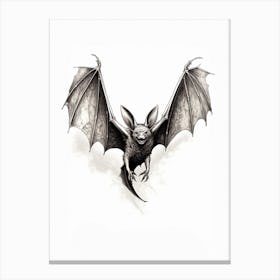 Big Free Tailed Bat Vintage Illustration 4 Canvas Print