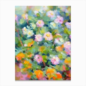 Hens And Chicks Impressionist Painting Plant Canvas Print