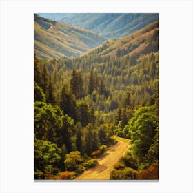 Muir Woods National Park 2 United States Of America Vintage Poster Canvas Print