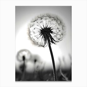 Ephemeral Wishes: A Black And White Foto Of A Dandelion Canvas Print