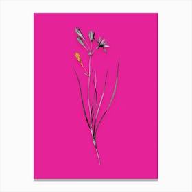 Aazue Vintage Amaryllis Montana Black And White Gold Leaf Floral Art On Hot Pink N Canvas Print