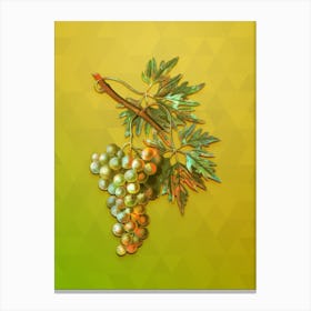 Vintage Grape Vine Botanical Art on Empire Yellow n.1962 Canvas Print