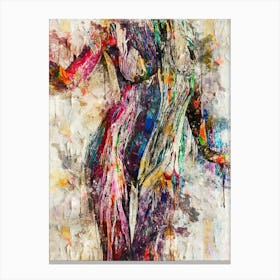 Abstract Of A Woman Canvas Print