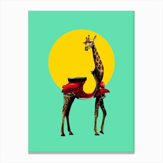 Giraffe Canvas Print