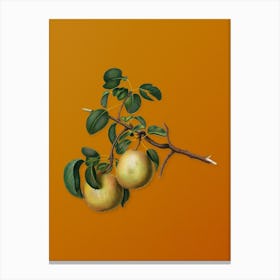 Vintage Pear Botanical on Sunset Orange n.0008 Canvas Print