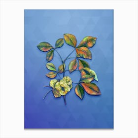 Vintage Common Hoptree Botanical Art on Blue Perennial n.0266 Canvas Print