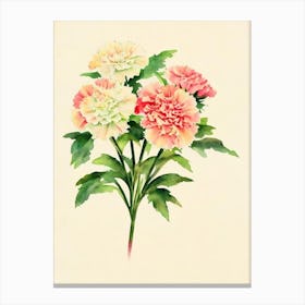 Carnations Vintage Flowers Flower Canvas Print