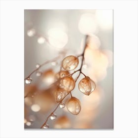 Drops On Leafs No 3 Canvas Print