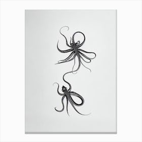 Mimic Octopus Black & White Drawing Canvas Print