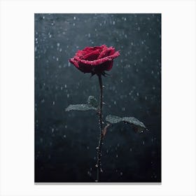 Rose In The Rain 4 Canvas Print