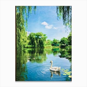 Swan In Pond Canvas Print