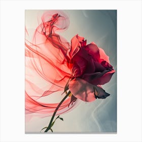 Ghost Rose Canvas Print