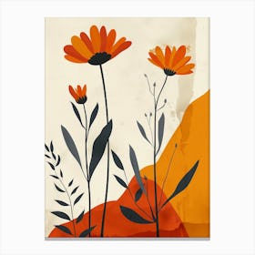 Namaqualand Daisy Groovy 6 Canvas Print