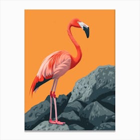 Greater Flamingo Galapagos Islands Ecuador Tropical Illustration 4 Canvas Print