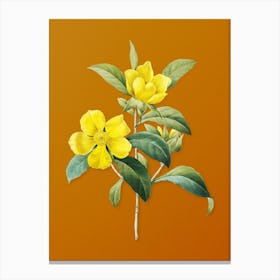 Vintage Golden Guinea Vine Botanical on Sunset Orange n.0751 Canvas Print