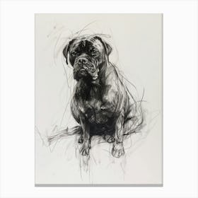 Bullmastiff Dog Charcoal Line 2 Canvas Print