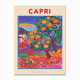 Capri Italia Travel Poster Canvas Print