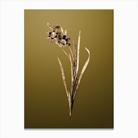 Gold Botanical Ixia Tricolor on Dune Yellow n.0423 Canvas Print