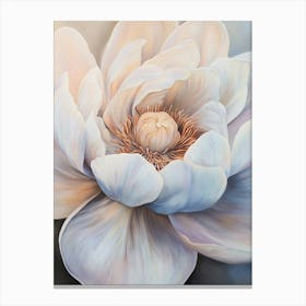 White Lotus Flower Canvas Print