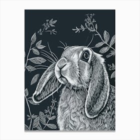 English Lop Rabbit Minimalist Illustration 1 Canvas Print