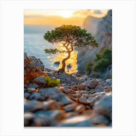 Pine Tree At Sunset Canvas Print