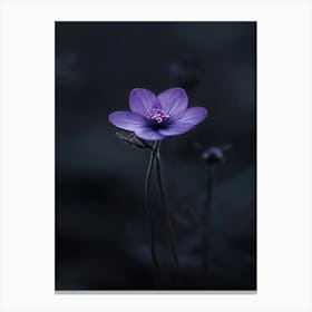 Purple Flower 7 Canvas Print