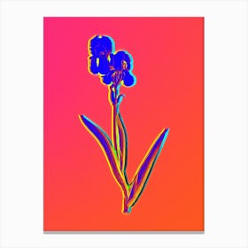 Neon Tall Bearded Iris Botanical in Hot Pink and Electric Blue n.0307 Canvas Print