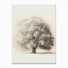 White Tree Canvas Print