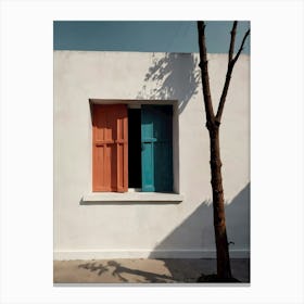 Window Canvas Print