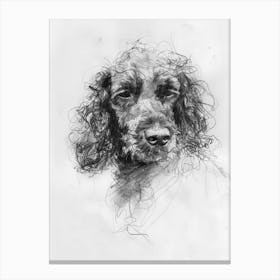 Irish Water Spaniel Dog Charcoal Line 3 Canvas Print