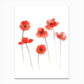 Watercolor Poppies Canvas Print