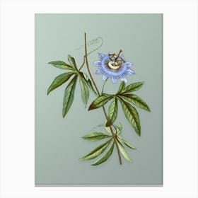 Vintage Blue Passionflower Botanical Art on Mint Green n.0130 Canvas Print