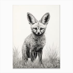 Bat Eared Fox In A Field Pencil Drawing 6 Canvas Print