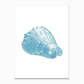 Sea Shell Canvas Print