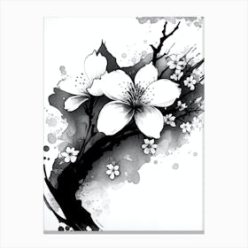 white and black 4 Canvas Print