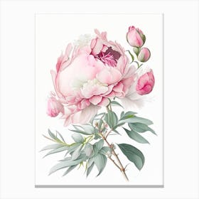 Peony Floral Quentin Blake Inspired Illustration 2 Flower Canvas Print