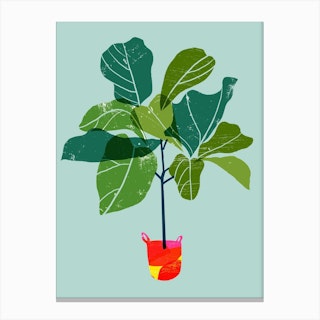 Fiddle Leaf Fig Tree Canvas Print