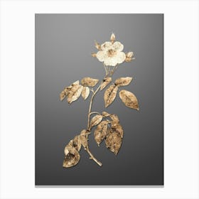 Gold Botanical Big Leaved Climbing Rose on Soft Gray n.3818 Canvas Print
