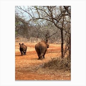 Rhinos In The Wild Canvas Print