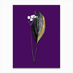 Vintage Bulltongue Arrowhead Black and White Gold Leaf Floral Art on Deep Violet n.0459 Canvas Print
