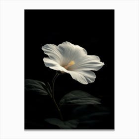 White Hibiscus Flower Canvas Print