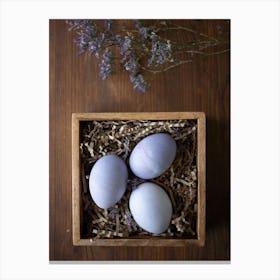 Easter Eggs 147 Canvas Print