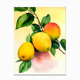 Mango Italian Watercolour fruit Canvas Print