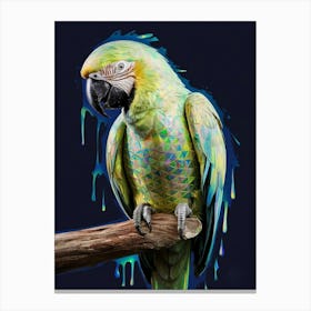 Parrot 1 Canvas Print