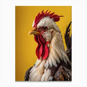 Portrait Of A Rooster Canvas Print