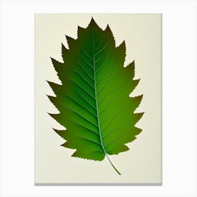 Elm Leaf Vibrant Inspired 2 Canvas Print
