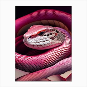 Rosy Boa Snake Vibrant Canvas Print
