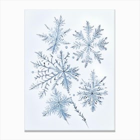 Ice, Snowflakes, Quentin Blake Illustration 2 Canvas Print