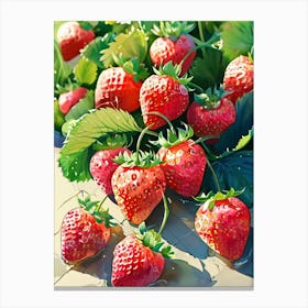 Strawberries Canvas Print