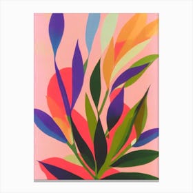 Bottlebrush Plant Colourful Illustration Canvas Print